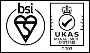 Logo for the BSI 